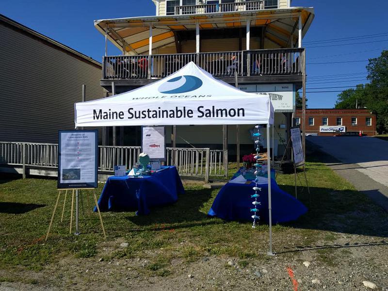 Custom Tent with Logo for Whole Oceans Land-Based Aquaculture Project
