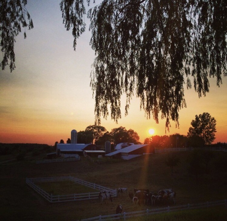 Sunset