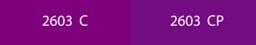 PMS purple shades