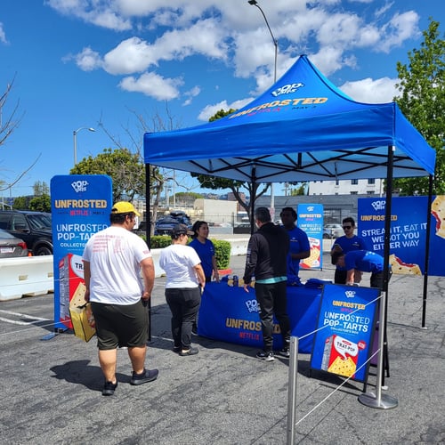 10x10 Custom Canopy Tent - Heavy-Duty Frame