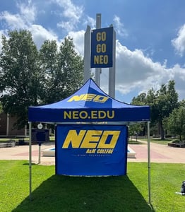 Neo Edu 10x10 mightyTENT