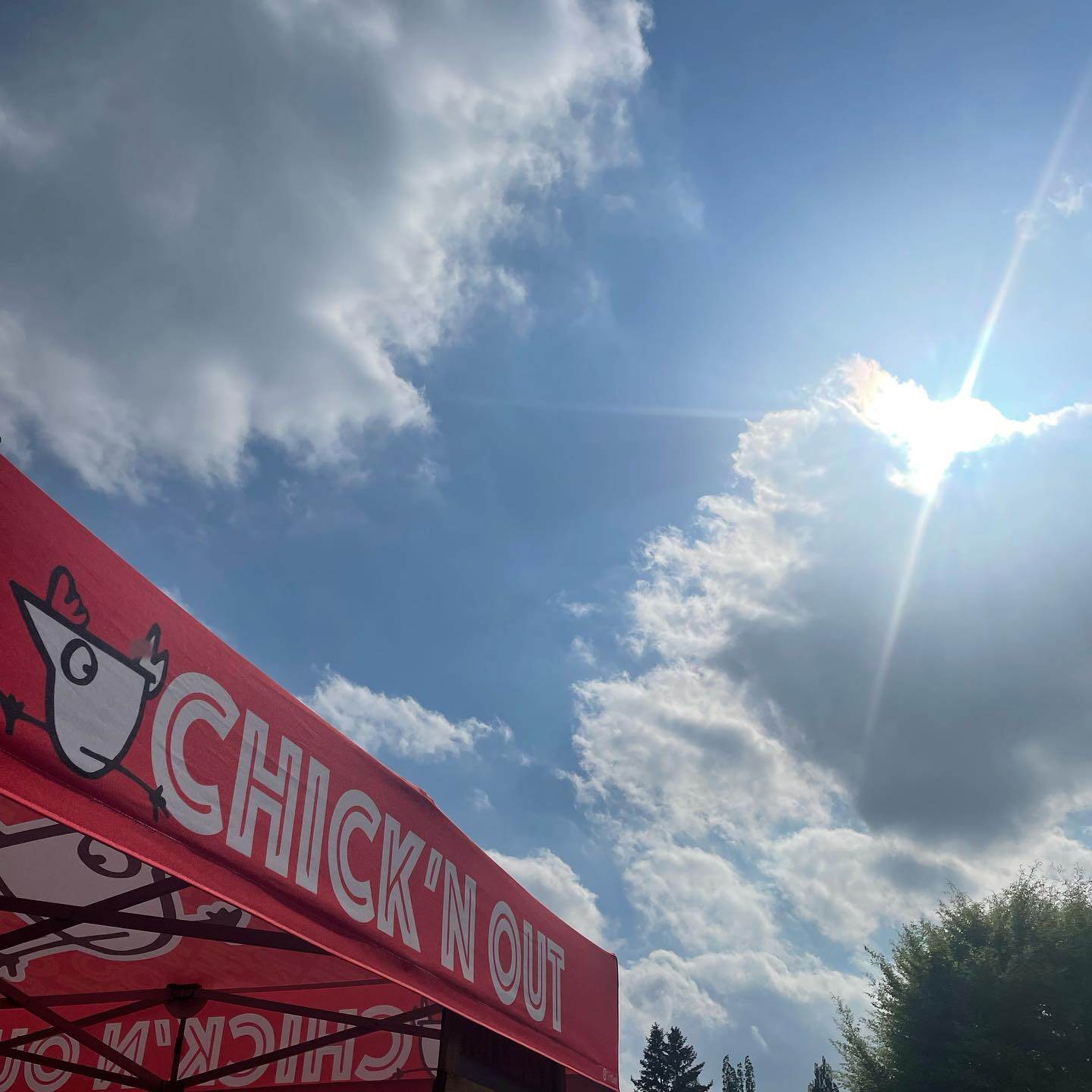 Chick'n Out 10x10 Pop-up Vendor Tent