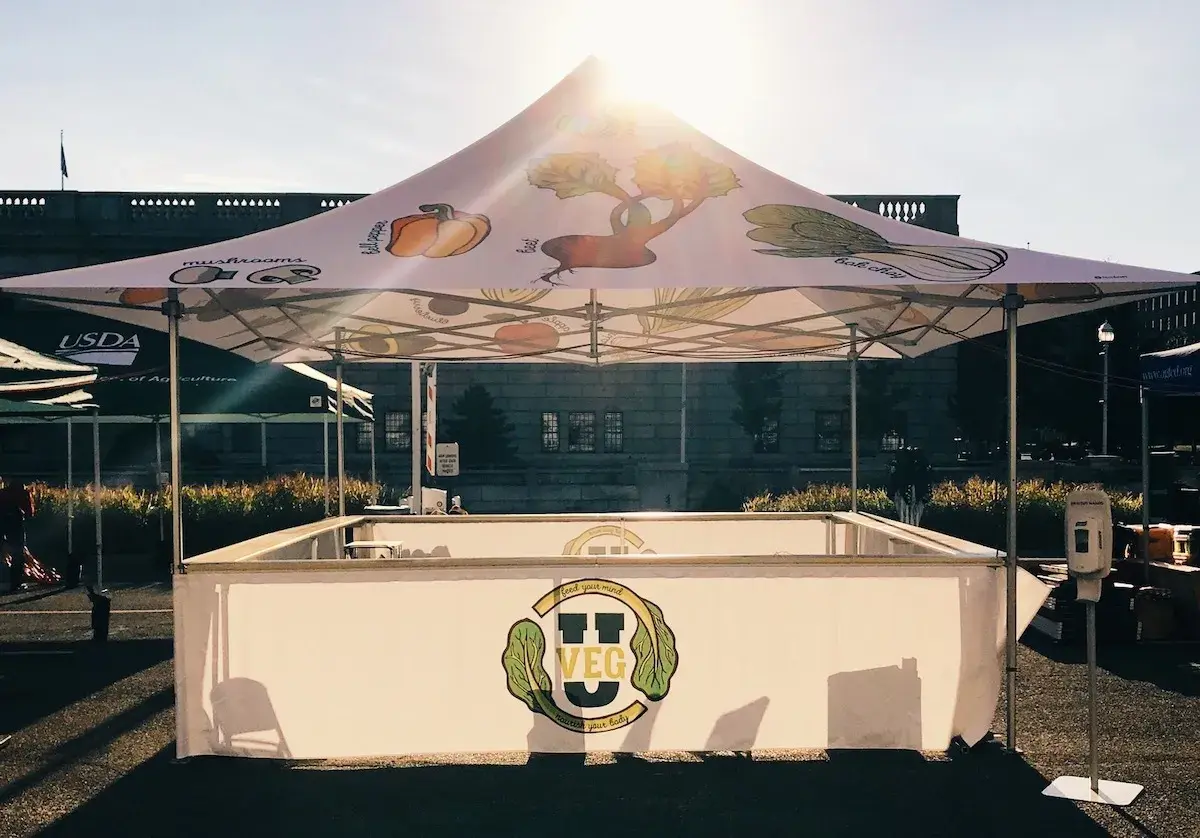 15'x15' Heavy-Duty Pop-Up Tent With Extended Canopy For Pagoda Style Roof