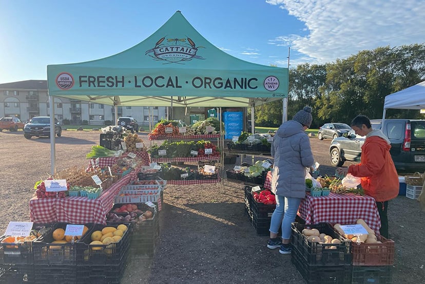 Best Canopy Tent for Farmers Market: A Guide for Vendors